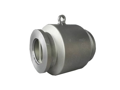 HUB end dual plate  check valve