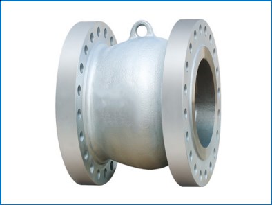 Axial Flow Check Valve (Short type)